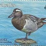 GARGANEY - R3