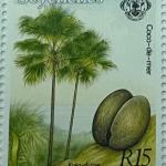 FLORA & FAUNA-R15