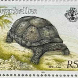 GIANT TORTOISE-SR50