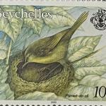 BRUSH WARBLER 10C