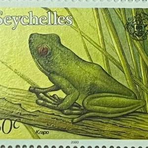 TREE FROG 50C