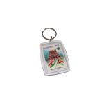 PHILATELIC - Seychelles India Day Keyring