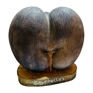 Coco de mer