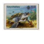 TORTUE VERTE-R50
