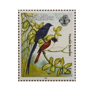 PARADISE FLYCATCHER -R25