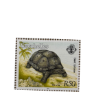 GIANT TORTOISE-SR50