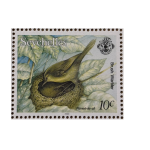 BRUSH WARBLER 10C