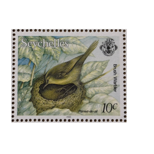 BRUSH WARBLER 10C