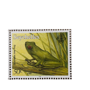 TREE FROG 50C