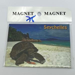 ECA IMAGE PHOTO MAGNET  - GIANT TORTOISE, CURIEUSE, SEYCHELLES