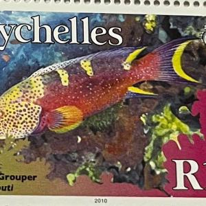LYRETALL GROUPER R15