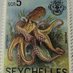OCTOPUS R5