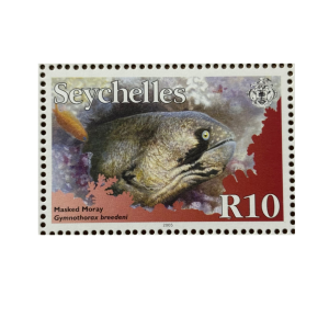 MASKED MORAY R10