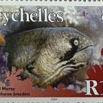 INDIA DAY R10