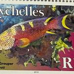 LYRETALL GROUPER R15