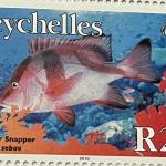 EMPEROR SNAPPER R25