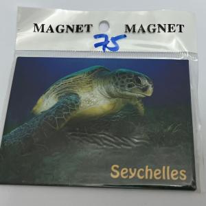 ECA IMAGE PHOTO MAGNET - GREEN SEA TURTLE , SEYCHELLES