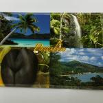 ECA IMAGE POSTCARD SMALL - ANSE ST.JOSE, VALLEE DE MAI, COCO DE MER, BAIE STE ANNE No.118