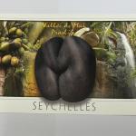 ECA IMAGE POSTCARD LARGE -COCO DE MER NUT, VALLEE DE MAI, PRASLIN No.051