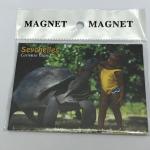 ECA IMAGE PHOTO MAGNET - SEYCHELLES GIANT TORTOISE WITH LOCAL GIRL, CURIEUSE