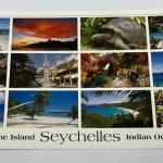 JURIEN PALMYRE POSTCARD LARGE - SOUVENIR OF SEYCHELLES CODE NO. JP 061