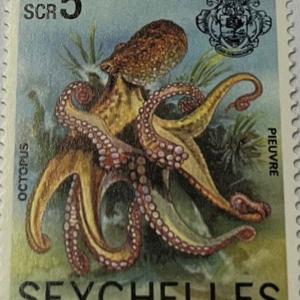 OCTOPUS R5