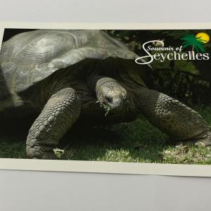 JURIEN PALMYRE POSTCARD SMALL - GIANT LAND TORTOISE