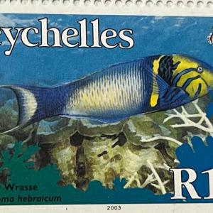 GOLDBAR WRASSE R1.50