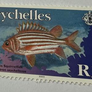 SEYCHELLES SQUIRRELFISH R3