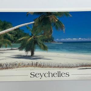 JURIEN PALMYRE POSTCARD LARGE - BAIE LAZARE, MAHE, SEYCHELLES CODE NO. JP 054