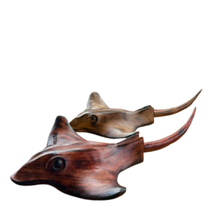 Sting Ray fish-plain-medium size