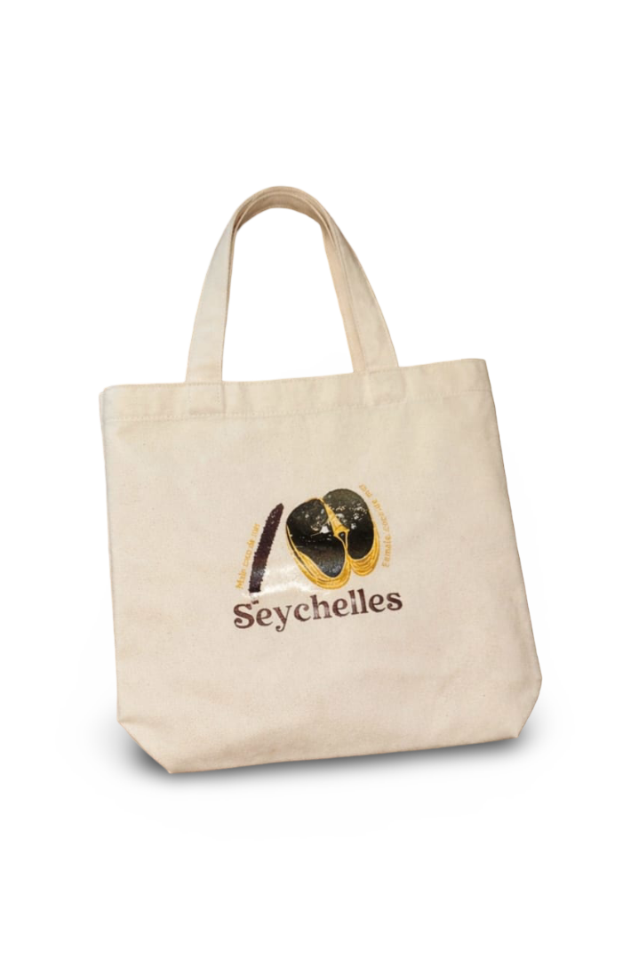 JOSIANNE GERRY - CANVAS BAG