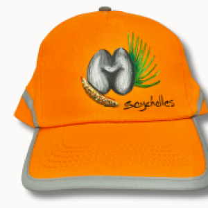 JOSIANNE GERRY - CAPS