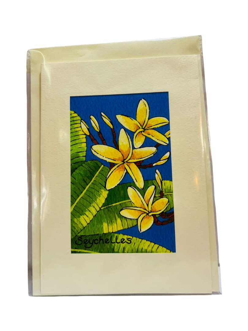 PIXELAND - GREETING CARD (LARGE) WHITE FRANGIPANI