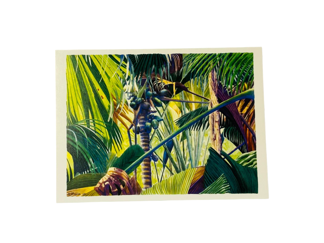 PIXELAND - POSTCARD- VALLEE DE MAI