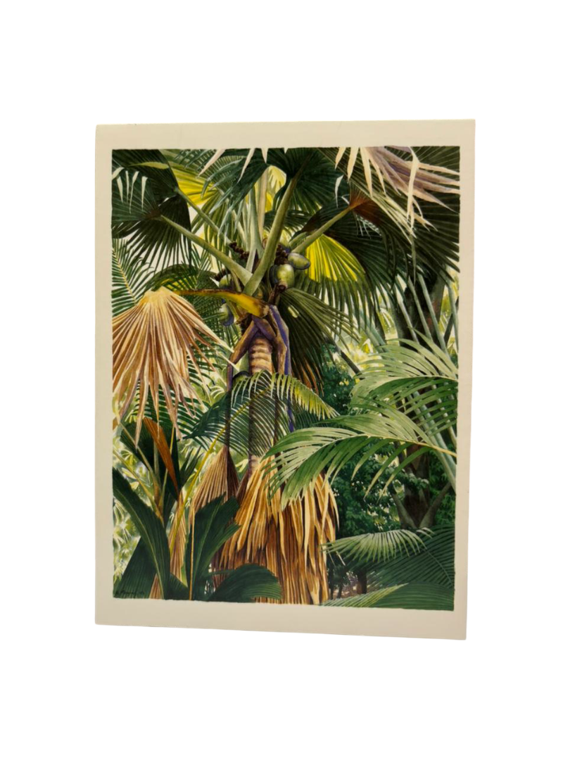 PIXELAND - POSTCARD- VALLEE DE MAI PALM