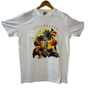 ALEXA CREATIONS STUDIOS - NEXT LEVEL  SEYCHELLES VICTORIA CLOCKTOWER SUNSET (L)