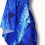 CAM ARTS - BLUE BANDANA