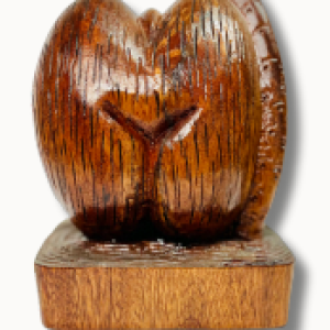 CNC CARVING - COCO DE MER WITH MALE ON STAND (B)