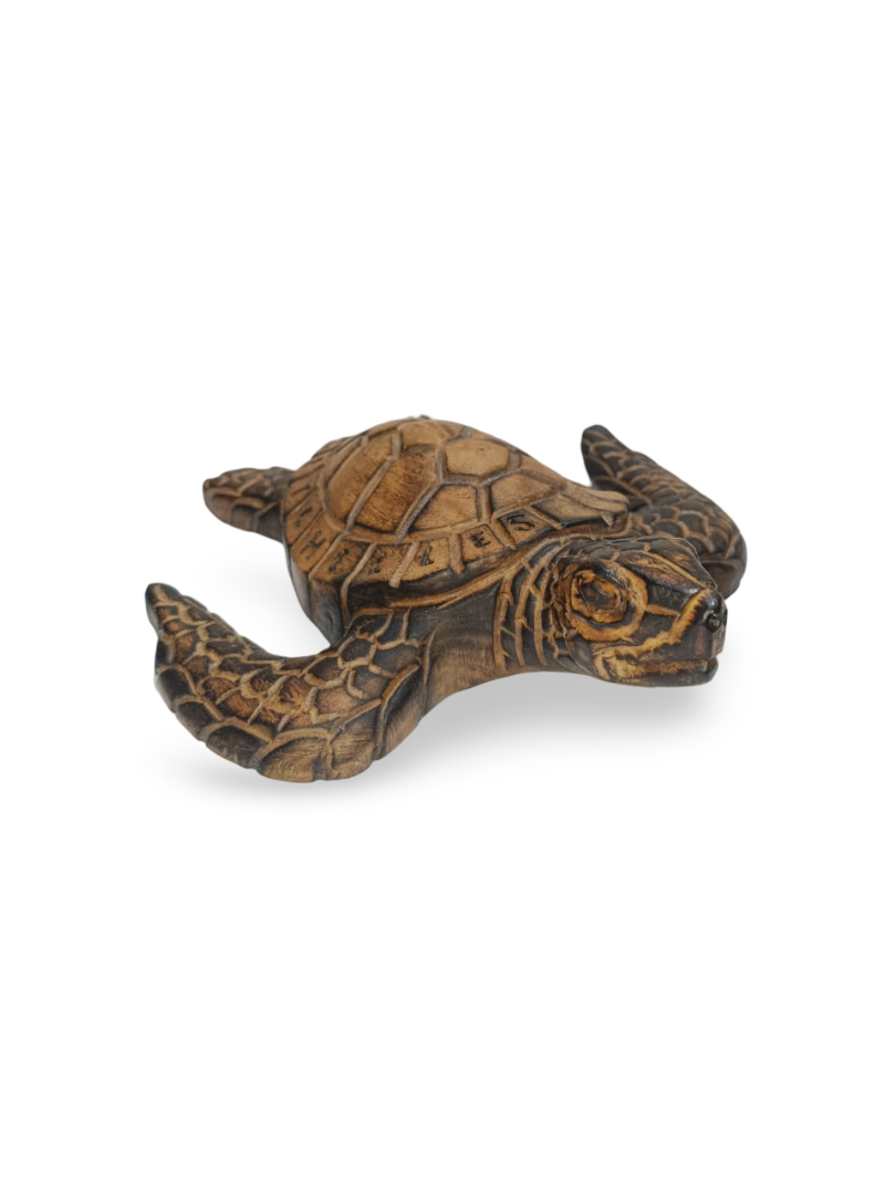 CNC CARVING - SEA TURTLE