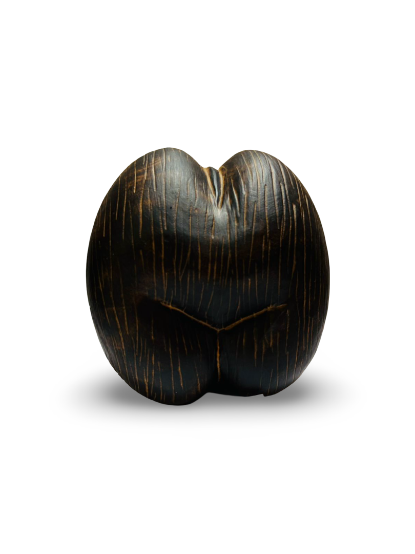 CNC CARVING - COCO DE MER