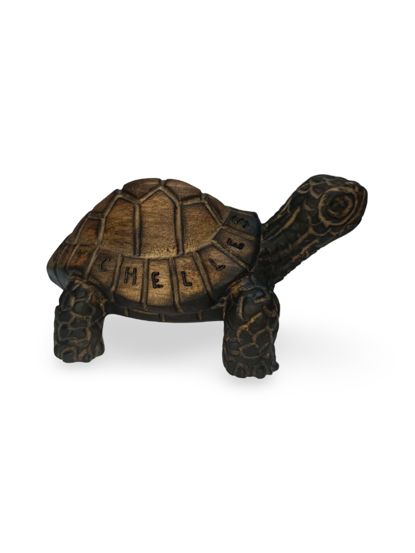 CNC CARVING - LAND TORTOISE (XS)