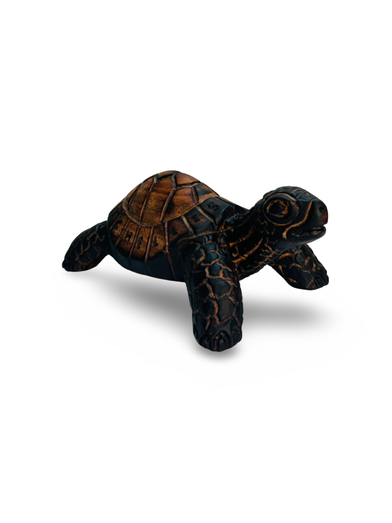 CNC CARVING - LAND TORTOISE WITH TAIL