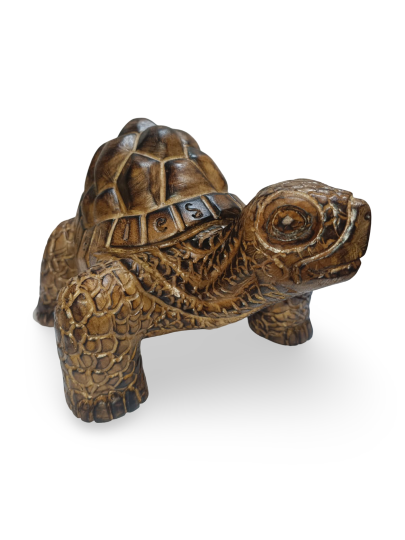 CNC CARVING - LAND TORTOISE