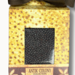 ANTIK COLONY - BOX FOR SPICE SPICES MUSTARD 175g