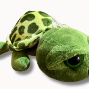 AAA TRADING - TORTOISES TOYS