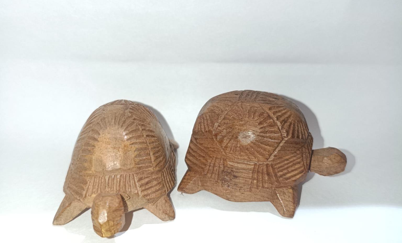 ROLAND PAYET - LAND TORTOISE