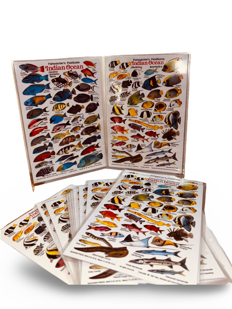 ART 2 CRAFT -FISH CHART