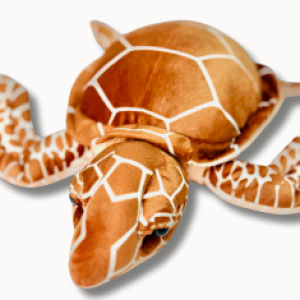ART 2 CRAFT -TURTLE (TOYS)