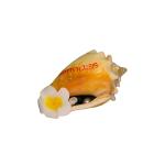 ANNETTE BARBÉ - MAGNET SHELL